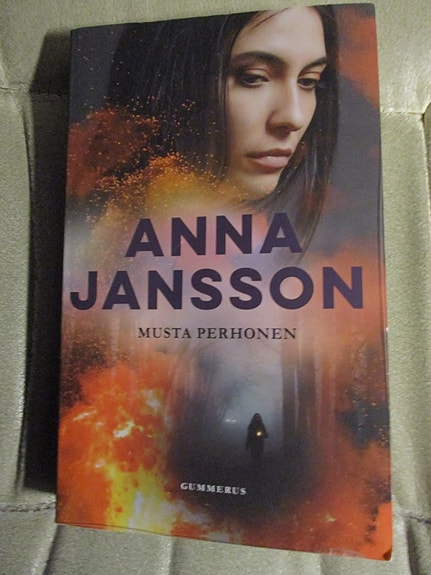 Anna Jansson Maria Wern sarjaa
