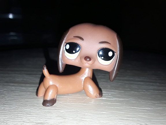 Lps mäyräkoira