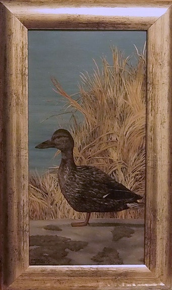 Sorsa rantakalliolla