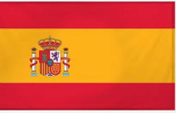 Espanjan kielen keskustelutunteja, tulkkausta, asiapapereiden kääntöä jne.