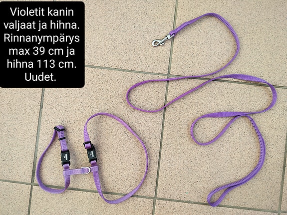 Violetit kanin valjaat ja hihna