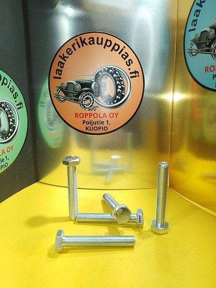 10.9 KOVUUS, tractor bult M10X1.0X65MM