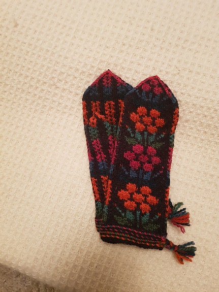 Kainuun maakunta lapaset