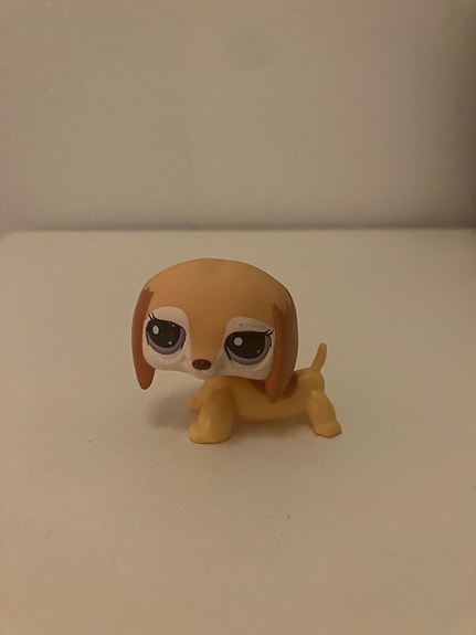 LPS, seisova koira 38991