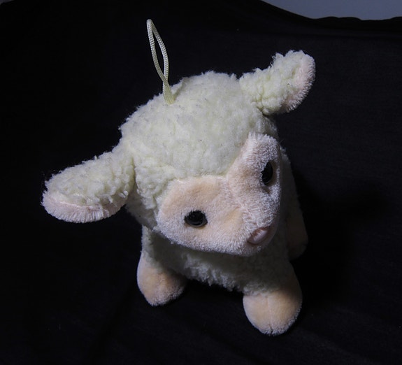 Product image 5 of 10