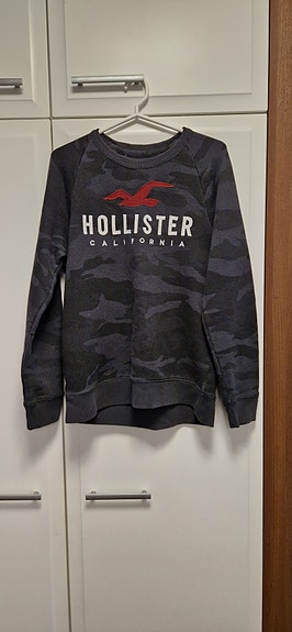 Hollister college