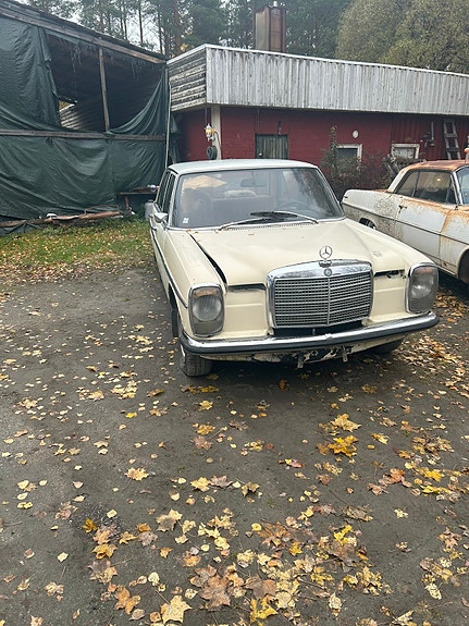 W115 osia