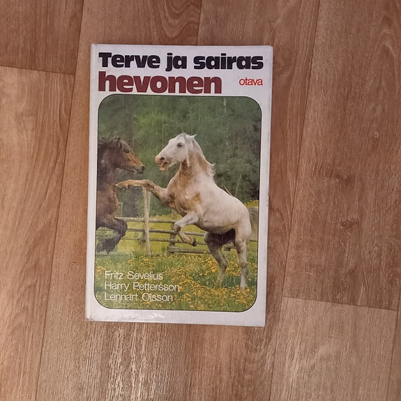 Terve ja sairas hevonen