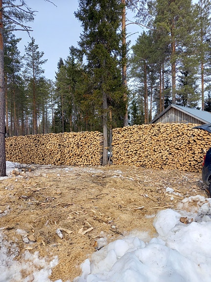 Kuivaa, metristä koivuhalkoa