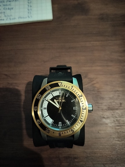 Invicta Pro Diver