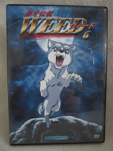 Weed 6 dvd