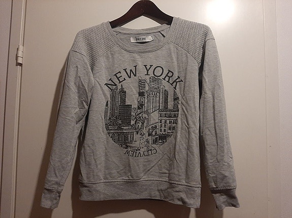 New York college