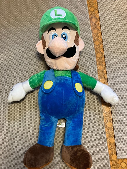 Super Mario Luigi