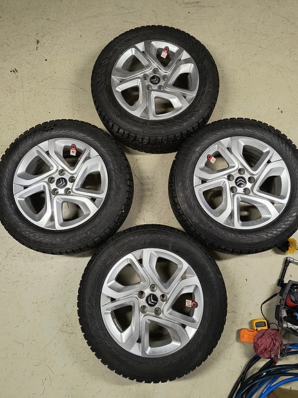 Citroen C5 + Hakkapeliitta 9 SUV