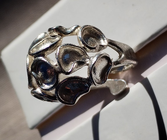 Design Robbert Ruotsi 1960, tukholma