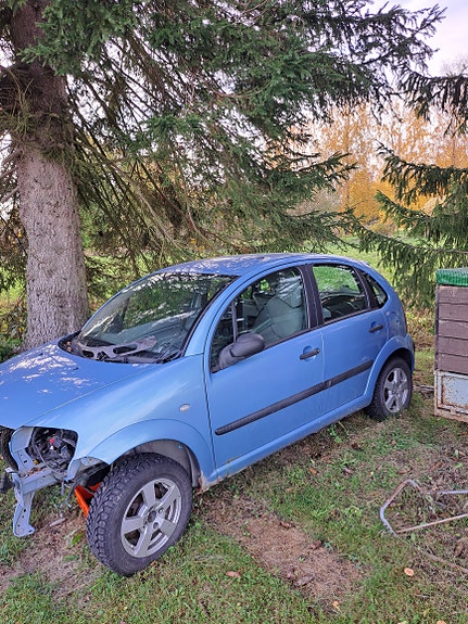 Citroen c3 osina
