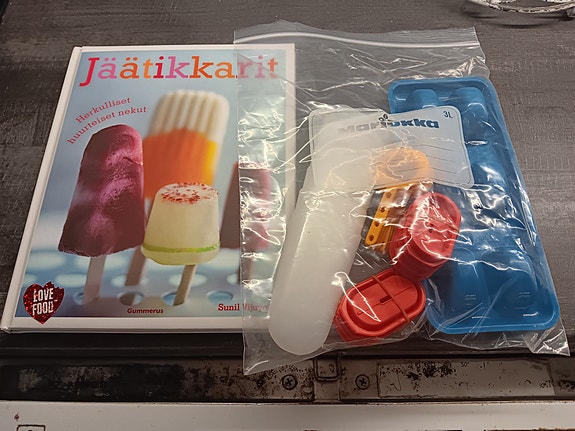 Jäätikkari ohjekirja