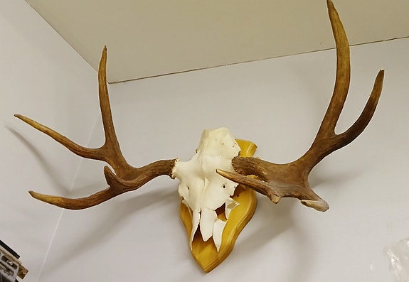 Product image 1 of 2