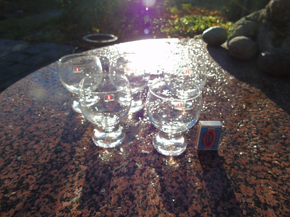 IITTALA kartano olutlasit