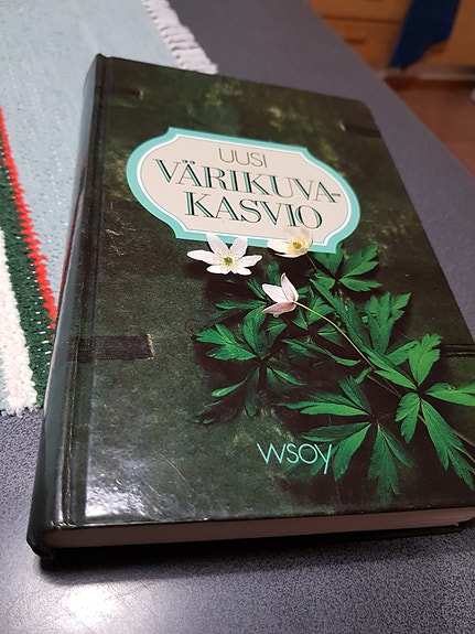 Uusi värikuvakasvio. Heikki Väänänen.