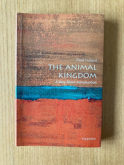Holland: The Animal Kingdom