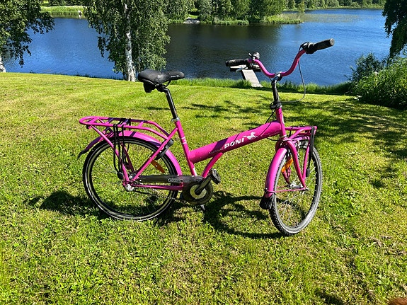 Tunturi poni