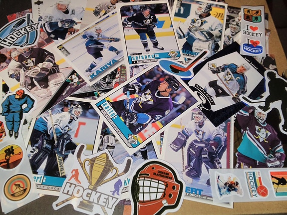 Mighty Ducks Of Anaheim-jääkiekkokortteja postitettuna #418