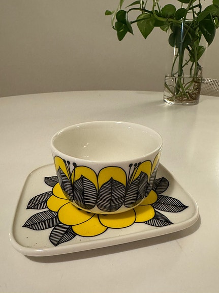 Marimekko Oiva Kestit astiat