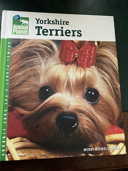 Yorkshire terriers kirja