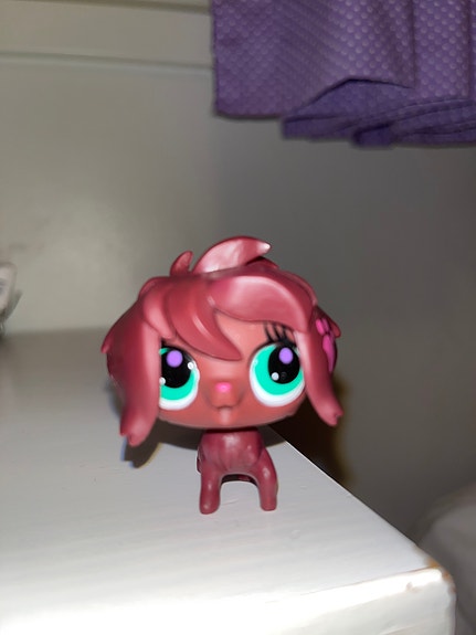 LPS koira alkuperäinen