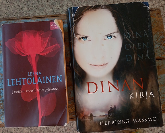 Jonakin onnellisena päivänä ja Dinan kirja - Minä olen Dina -kirjat