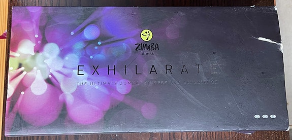 Zumba Fitness Exhilarate The Ultimate Zumba Fitness DVD Experience Guide Sticks