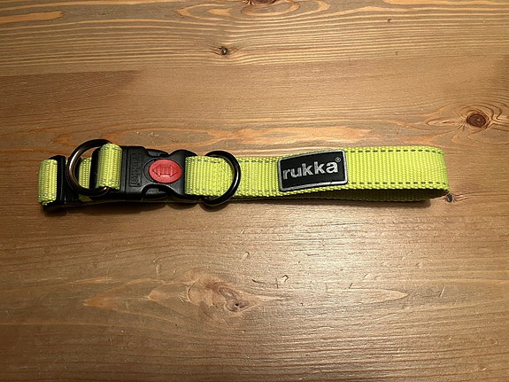 Koiran kaulapanta RUKKA