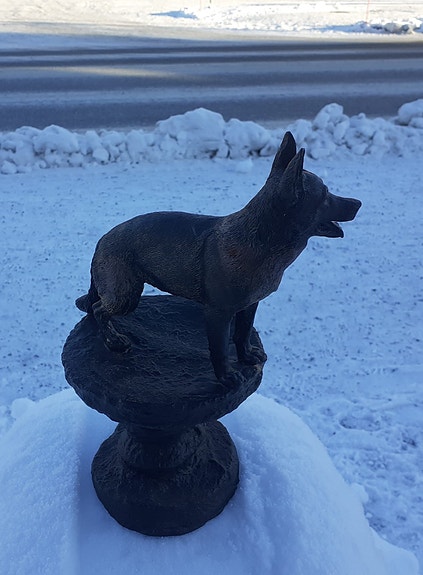 Product image 6 of 9