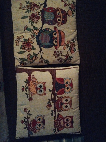 Pöllö tyynynpäällinen