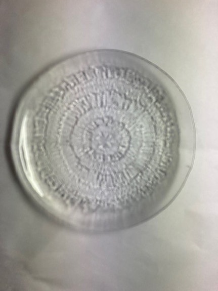 16 kpl Iittala solaris lautanen (16 cm)