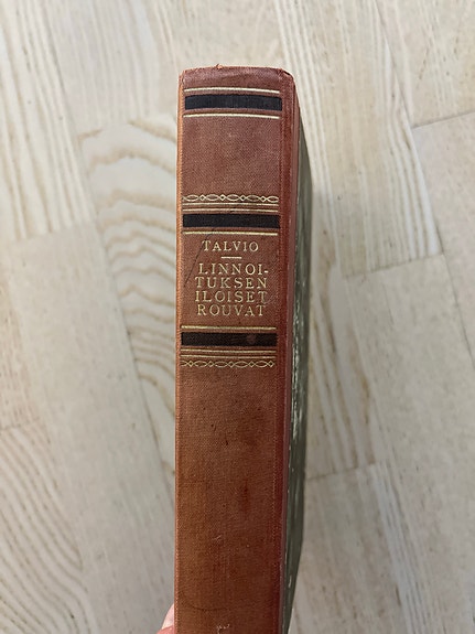 Maila Talvio, Linnoituksen iloiset rouvat.