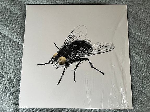 Antti Reini & Maapallon Maitolaiturit – Kärpänen LP