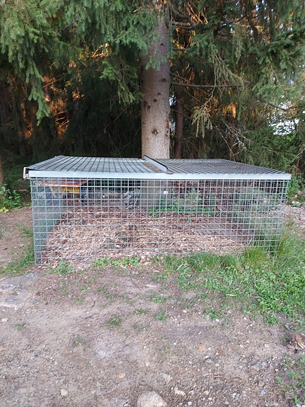 Ruostumaton iso häkki