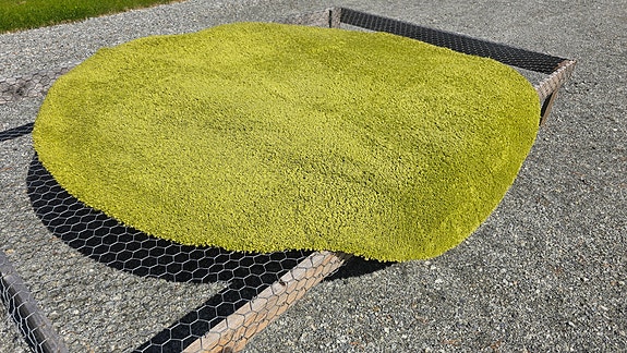 VM carpet matto