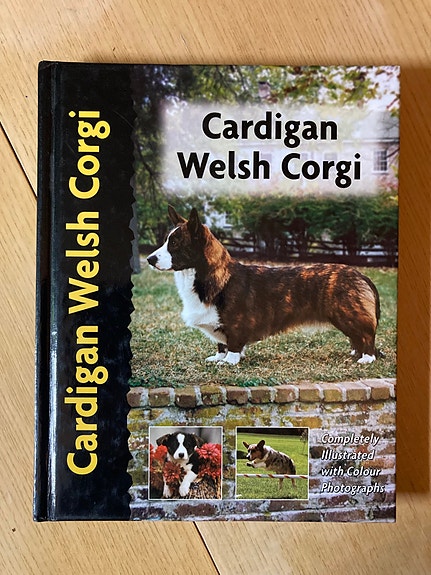 Beauchamp: Cardigan Welsh Gorgi