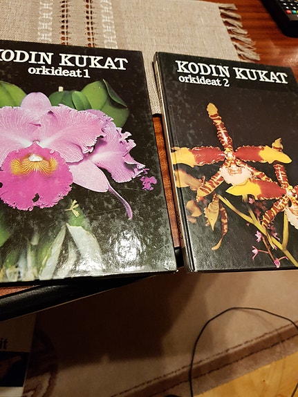 Kodin kukat x 20