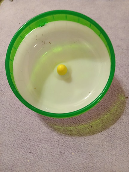 Hamsterin juoksupyörä