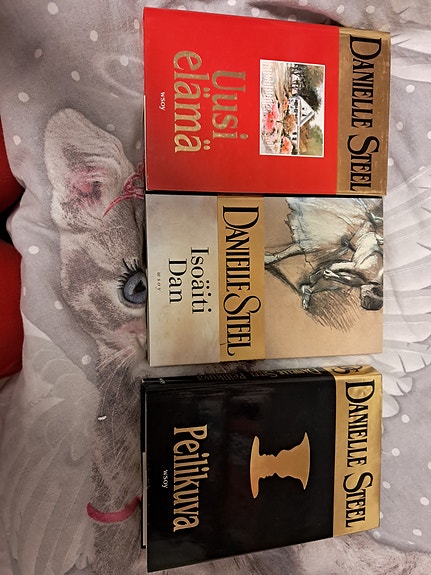 Danielle Steel Uusi elämä, Isoäiti Dan, Peilikuva