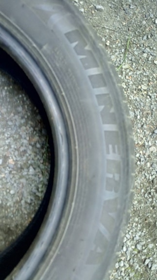 1x 205/60R16 Minerva Radial F209 kesärengas