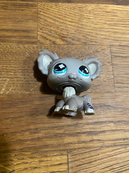 LPS chihuahu