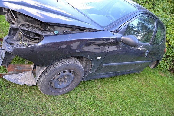 Peugeot 206 -00 varaosia