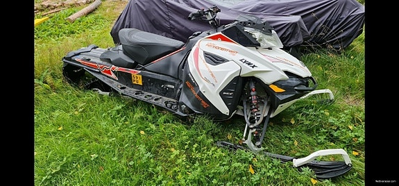 Lynx Rave 600 Purettuna