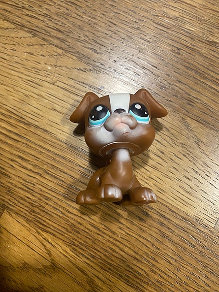 LPS boxeri