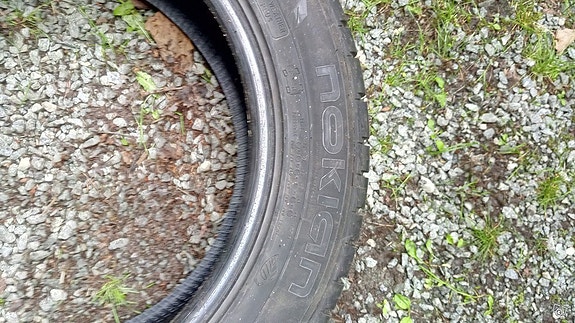 Nokian WR 205/55R16 kitkat